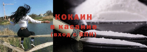 прущие грибы Бугульма