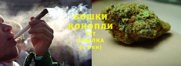 винт Бородино
