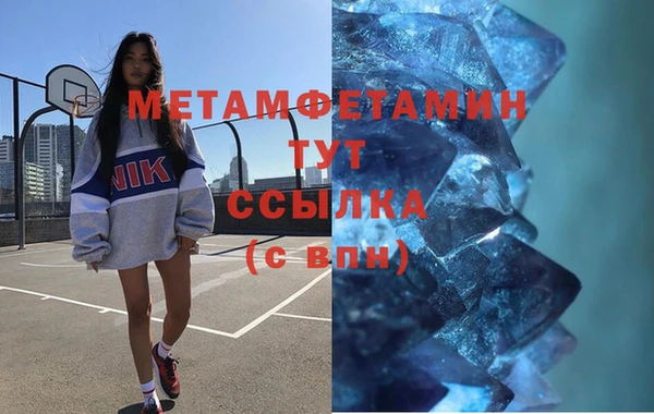 прущие грибы Бугульма