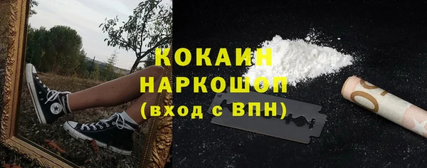 винт Бородино