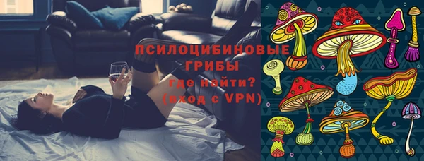 прущие грибы Бугульма